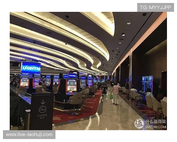 畅玩老虎机真人版的全新体验，会员注册带你领略不同寻常的乐趣